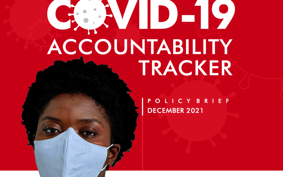 Covid 19 Accountability Report