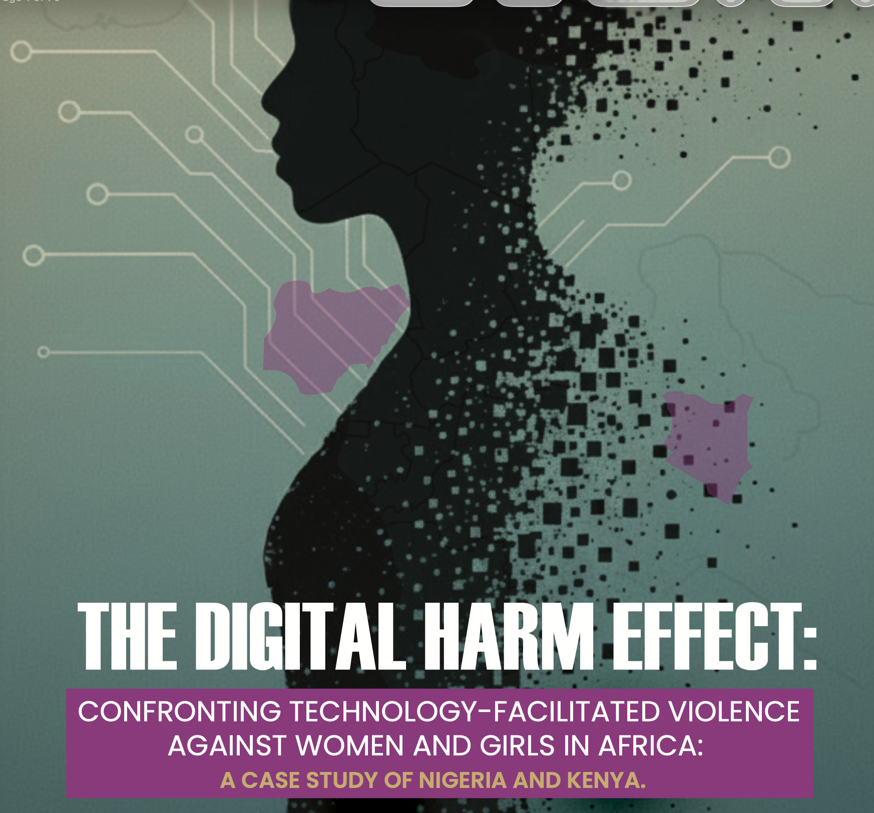 Technology-facilitated violence against women report - Digital Harm Effect Nigeria Kenya